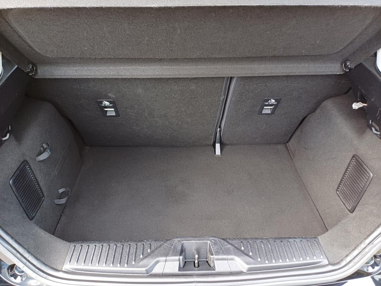 Ford Fiesta 1.5 EcoBlue 85 cv S&S 5 porte Titanium