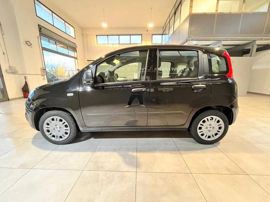 Fiat Panda 1.0 FireFly S&S Hybrid Pandina