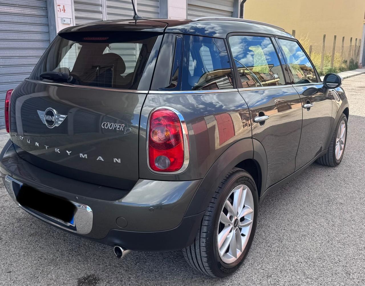 Mini countryman