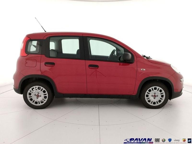 FIAT Pandina 1.0 Hybrid 65cv Icon