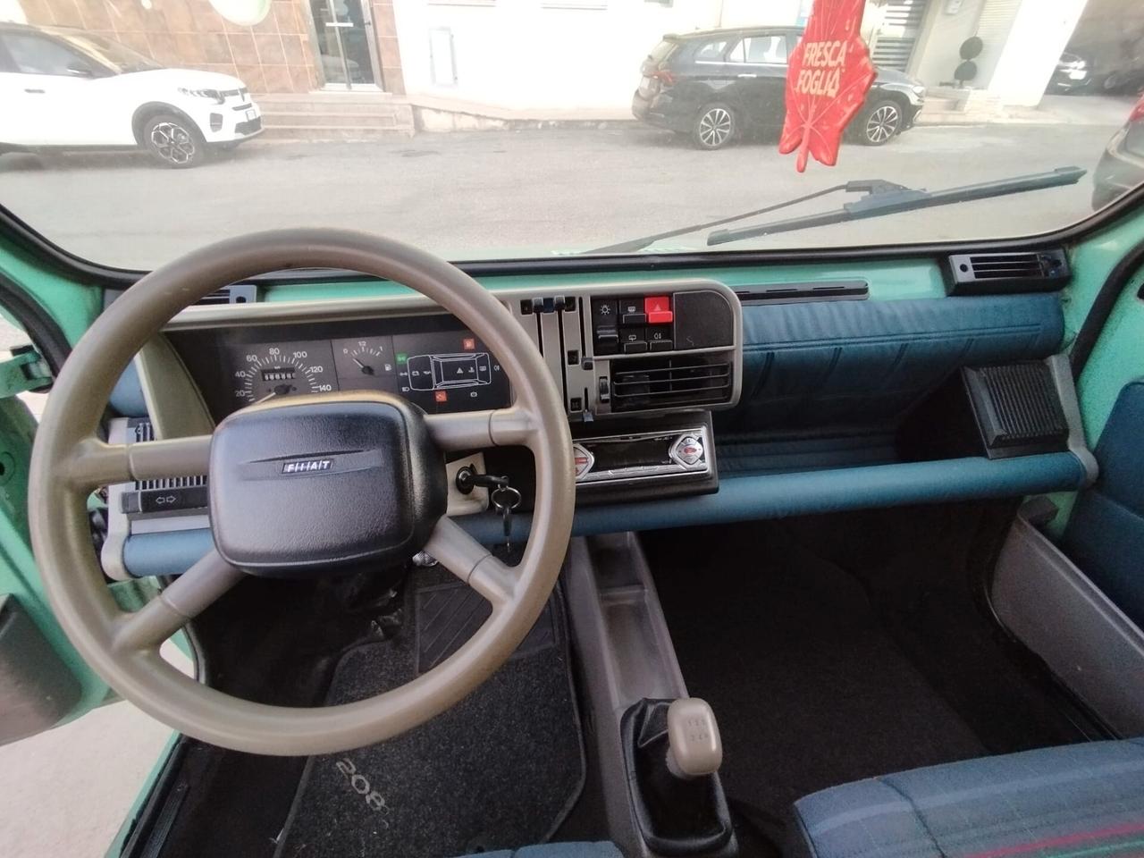 Fiat Panda 1100 i.e. cat Young