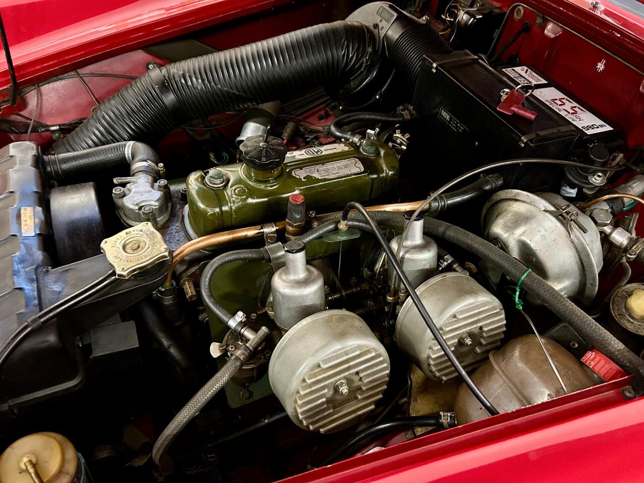 Mg Midget MK 3 TARGA ORO* 1967