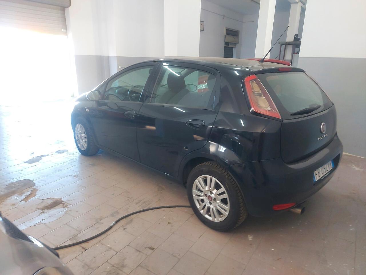 Fiat Punto 1.2 8V 5 porte Lounge 2015 full