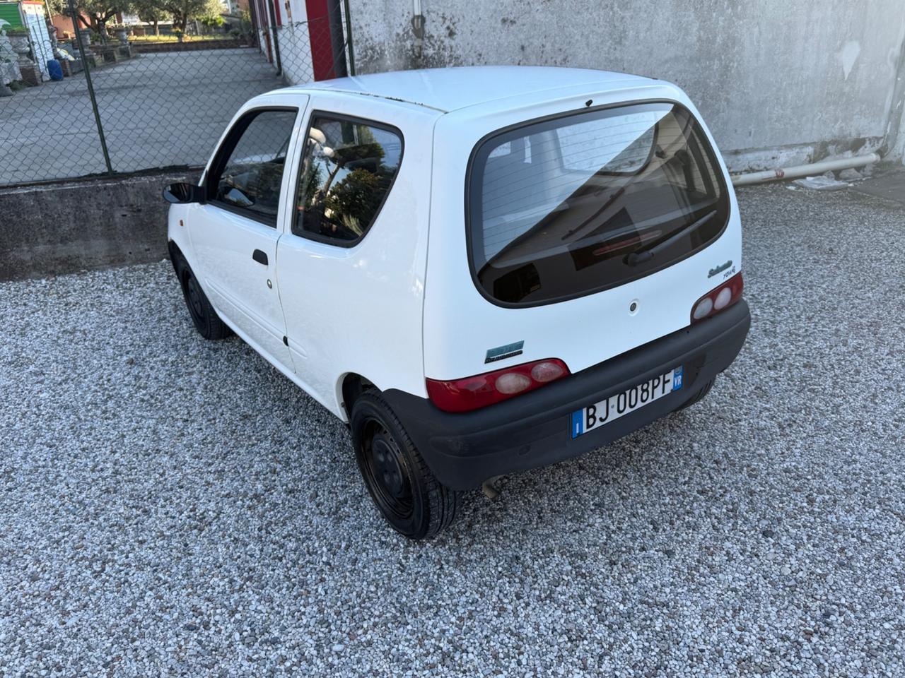 Fiat Seicento 900i cat Young