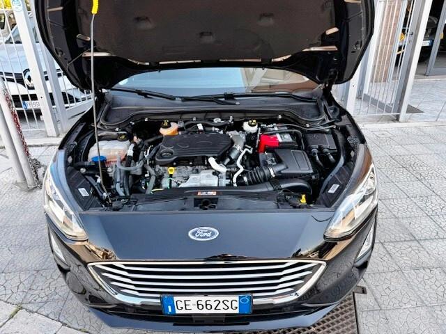 Ford Focus 1.5 EcoBlue 120 CV automatico SW Business Co-Pilot