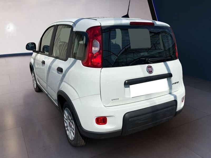 FIAT Panda My23 1.0 70cv Hybrid Panda