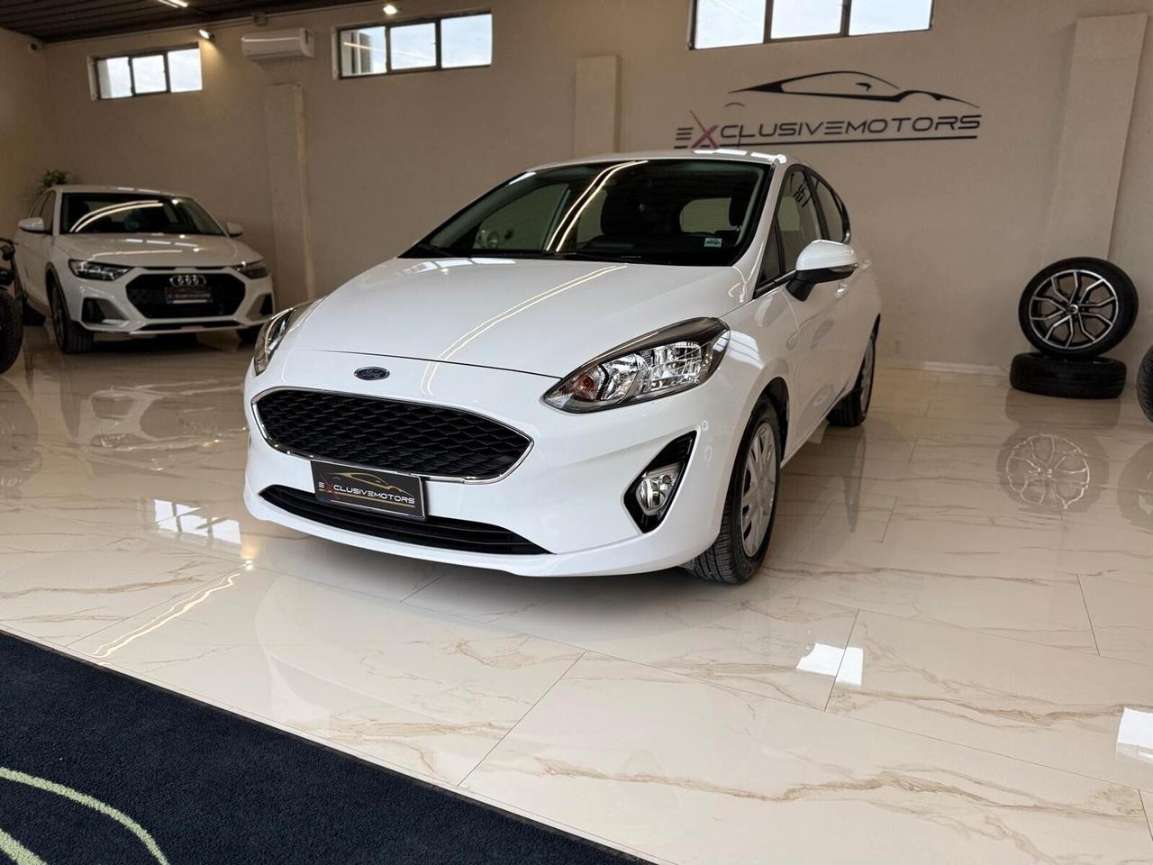 Ford Fiesta 1.0 Ecoboost 125 CV 5 porte