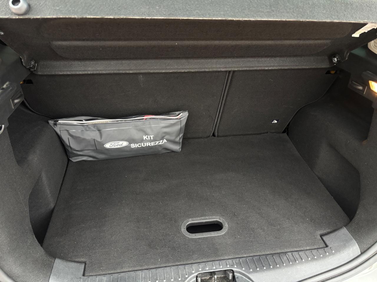 Ford B-Max 1.0 EcoBoost 100 CV Titanium