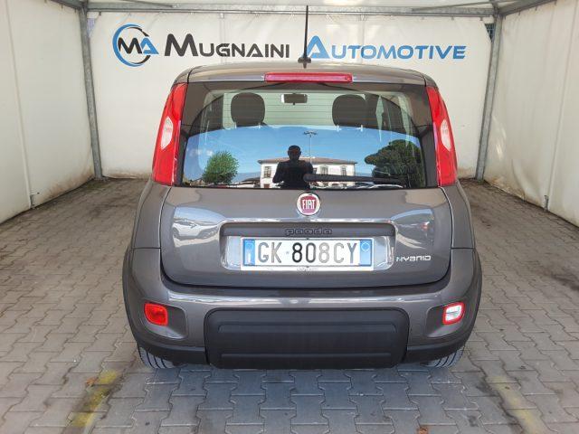 FIAT Panda 1.0 FireFly 70cv Hybrid *solo 19.700 Km*