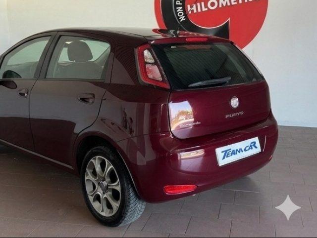 FIAT Punto 1.4 S&S 8V 5 porte Easy UNICOPROPRIETARIO
