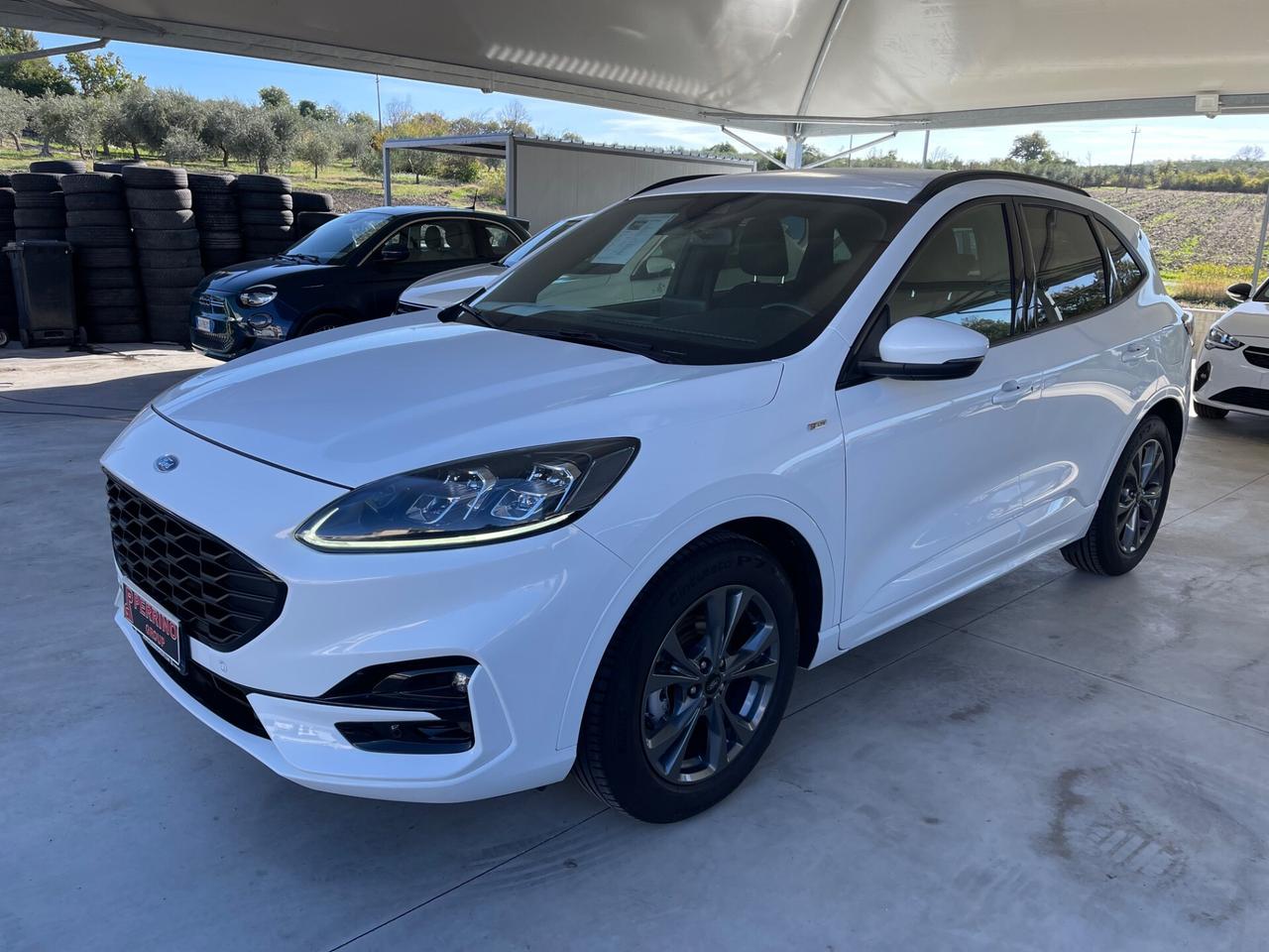 Ford Kuga 1.5 EcoBlue 120 CV aut. 2WD ST-Line