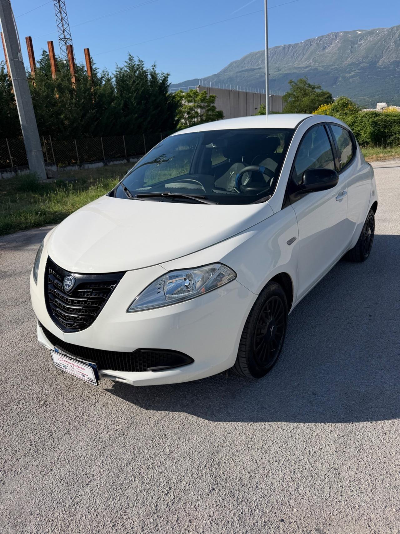 Lancia Ypsilon 1.2 69 CV 5 porte Elefantino