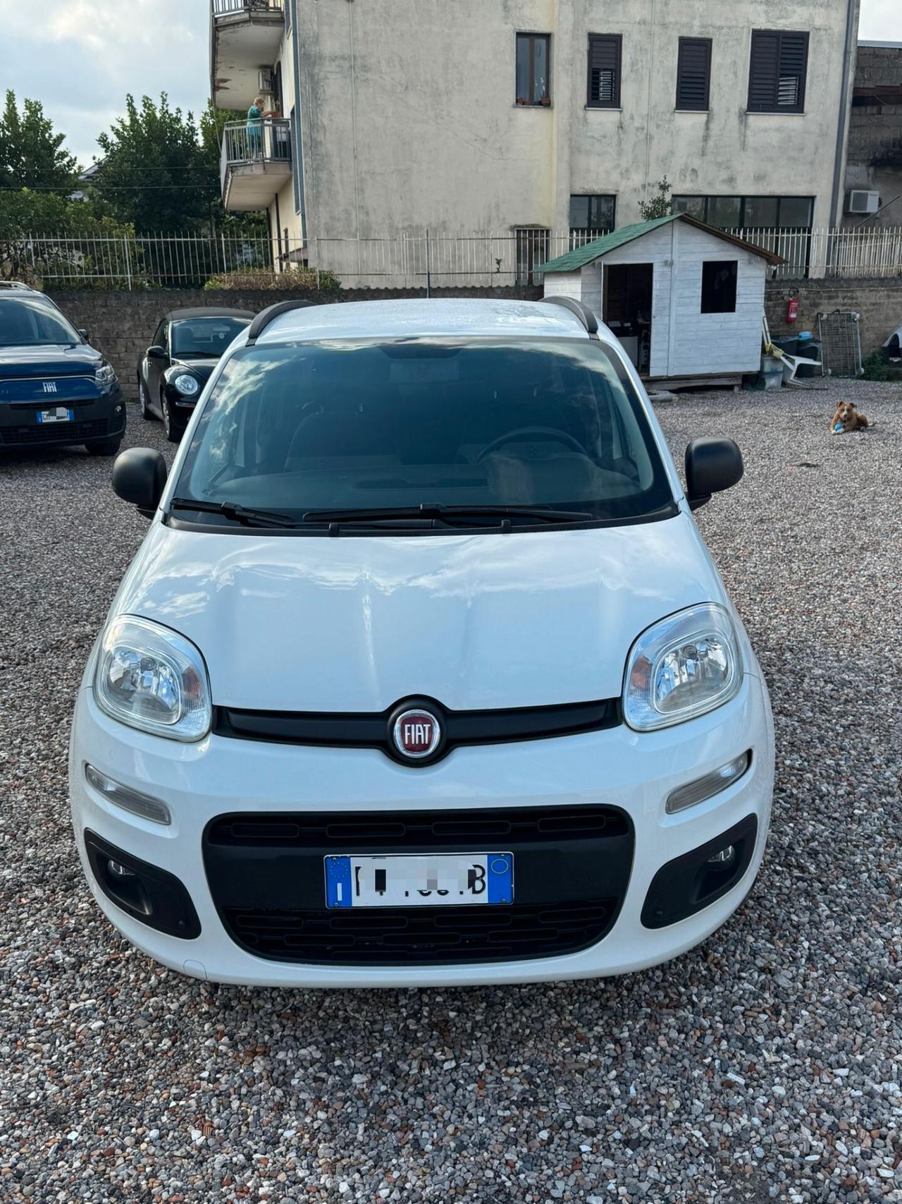 FIAT PANDA 1.3 MJT 80CV