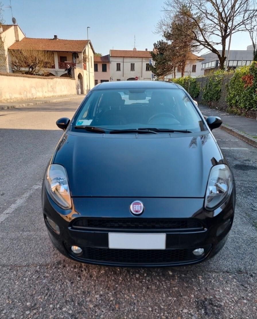 Fiat Punto 1.2 Benzina 8V 5 porte Lounge