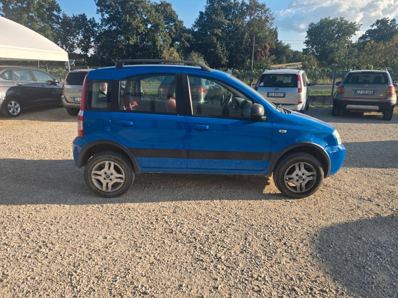 Fiat Panda 1.2 benzina 4x4 cv 60