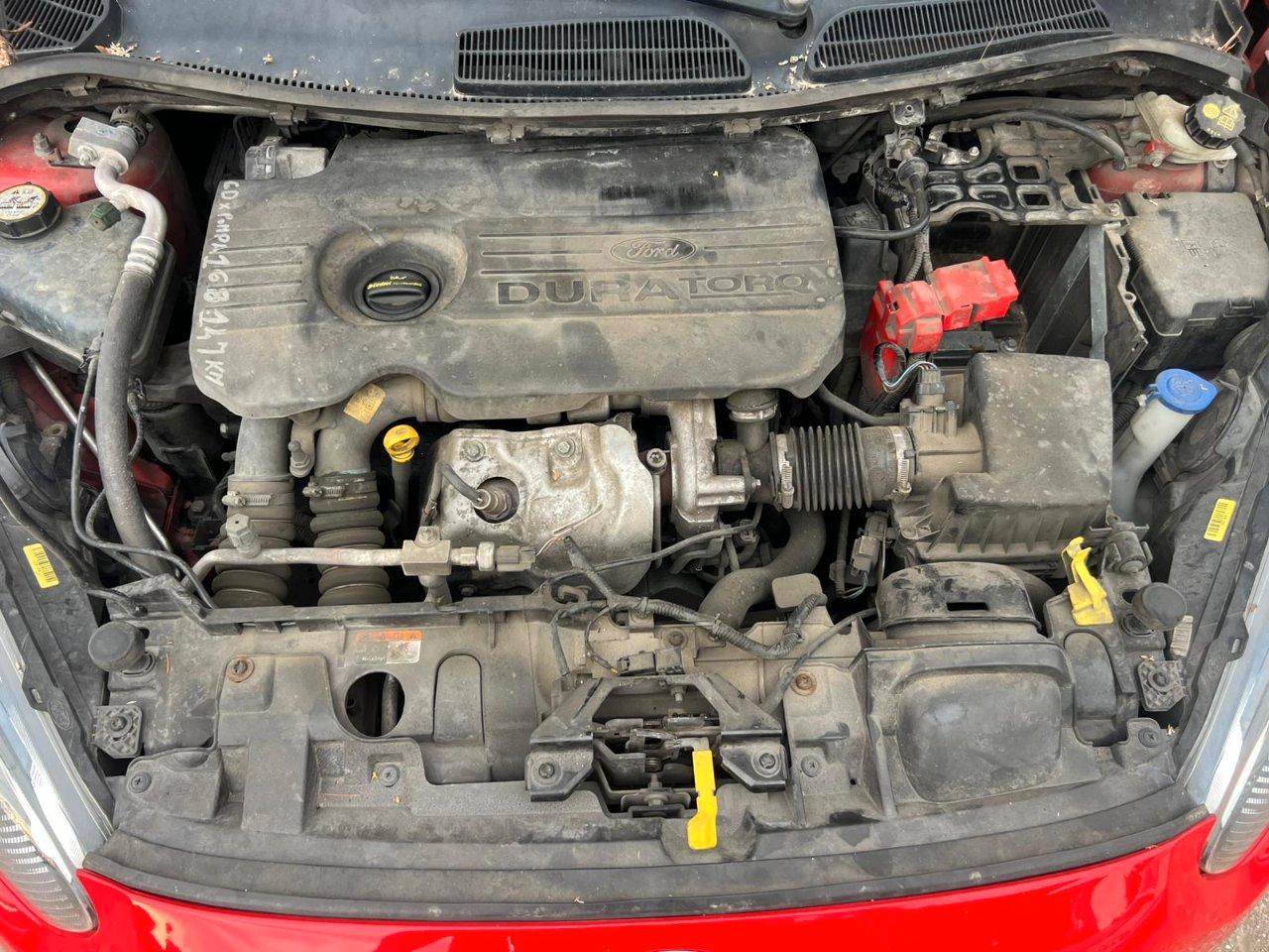 Ford Fiesta 5 Porte Fiesta 5p 1.5 tdci Business 75cv E6 LEGGI