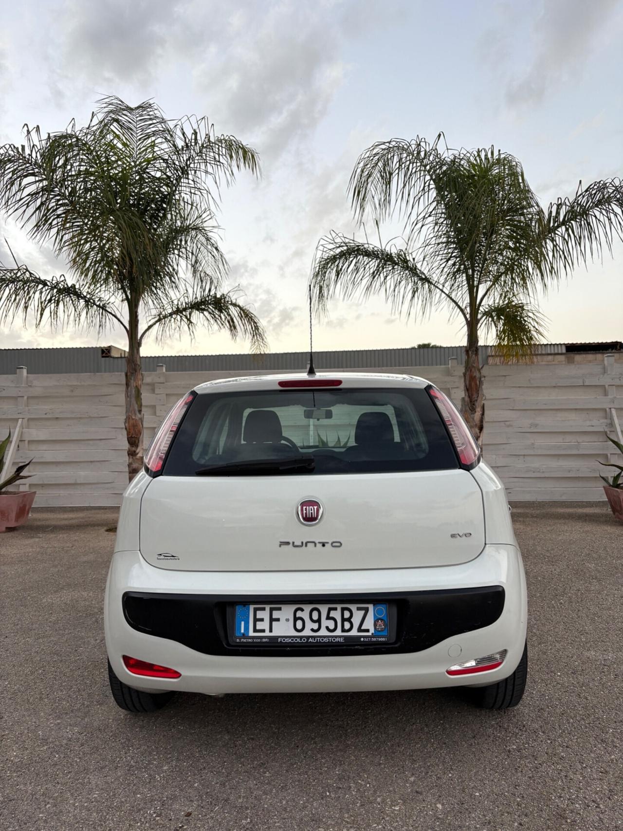 Fiat Punto Evo 1.3 Mjt tagliando eseguito 5 porte in eccellenti condizioni