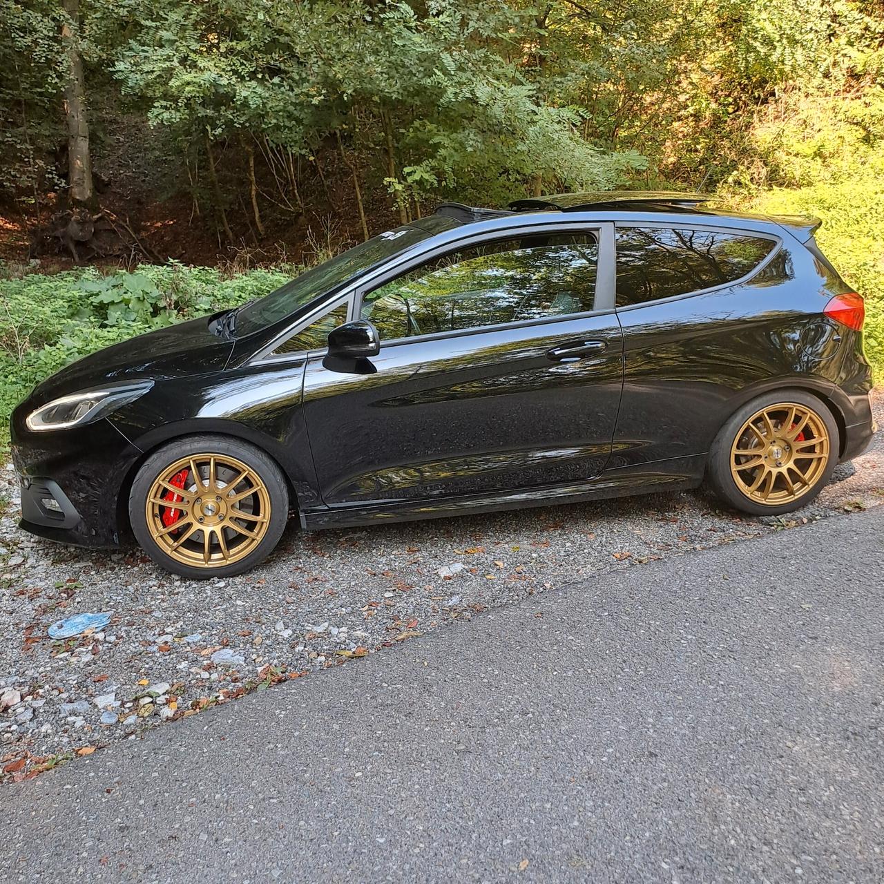 FIESTA ST200cv Performance - Tetto apribile