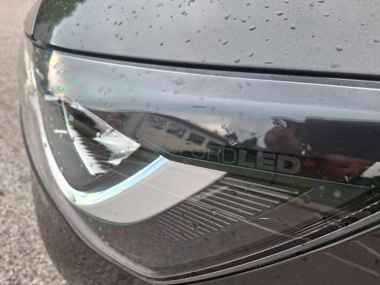 Ford Focus 1.5 EcoBlue 120 CV 5p. ST-Line X