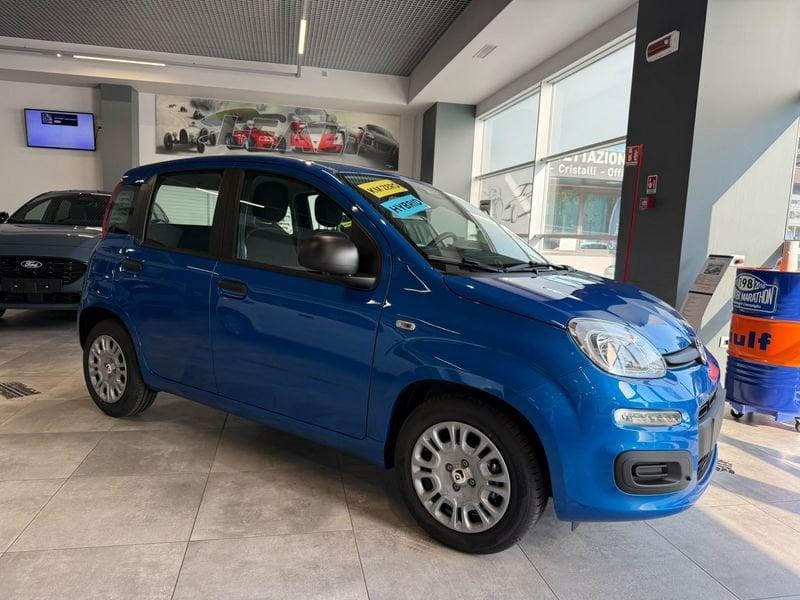 FIAT Pandina Pandina 5p 1.0 FireFly 65cv S&S 6m Hybrid Icon