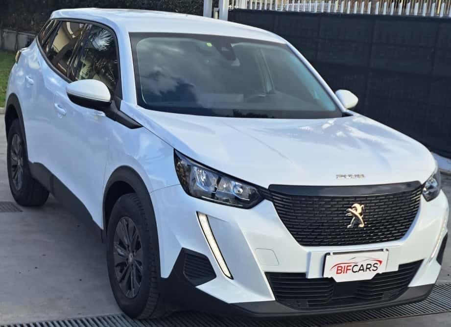 Peugeot 2008 PureTech 100 S&S Active