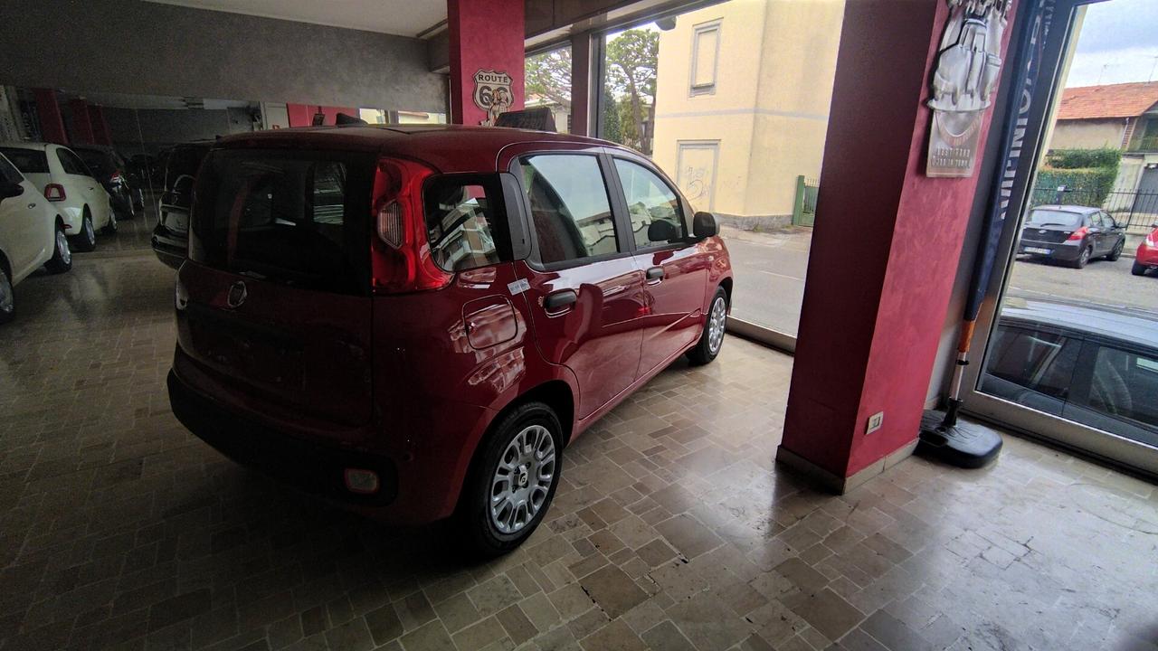 Fiat Panda 1.0 FireFly S&S Hybrid Pandina