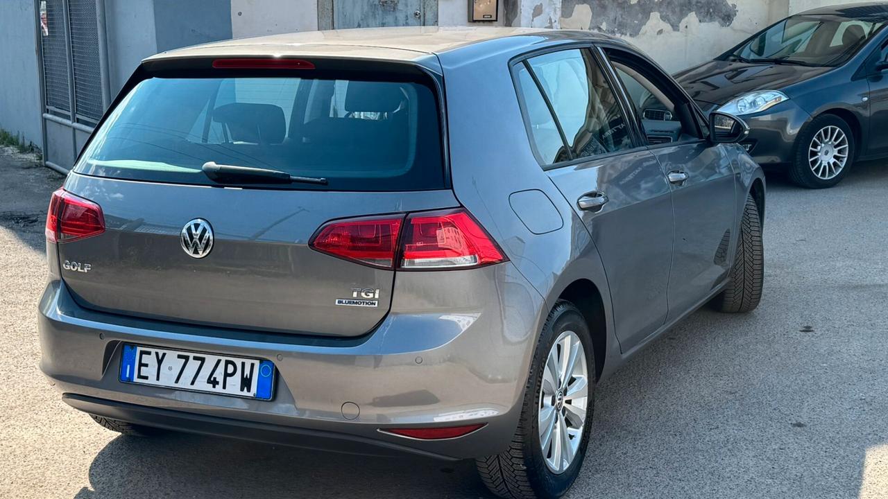 Volkswagen Golf Business 1.4 TGI 5p. Highline BlueMotion