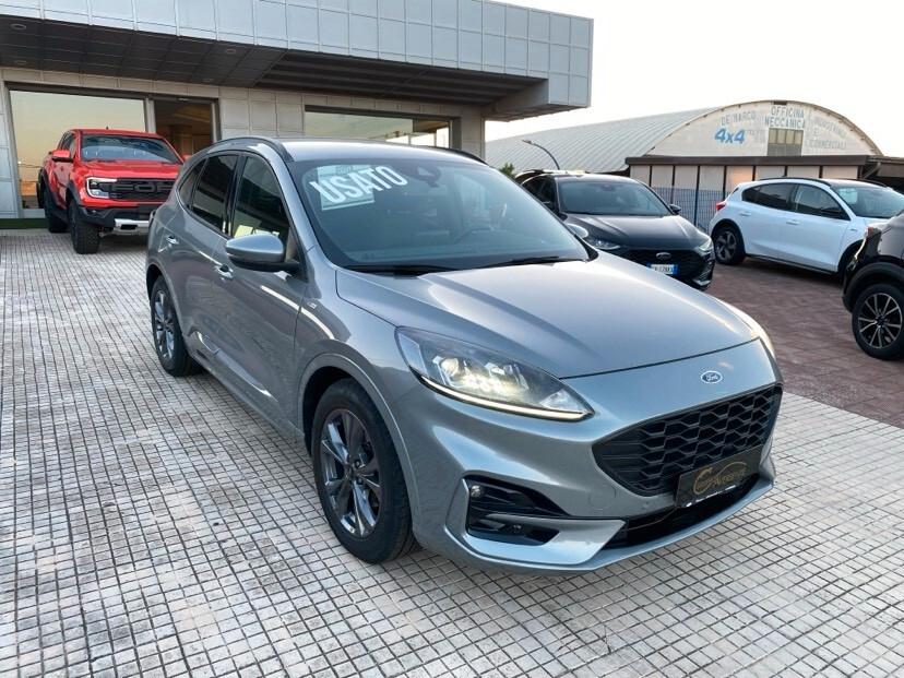 Ford Kuga 1.5 EcoBlue 120 CV 2WD ST-Line