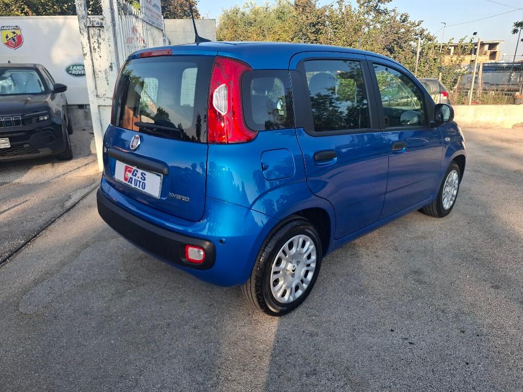 Fiat Panda Pandina 1.0 FireFly 65 CV Hybrid Icon