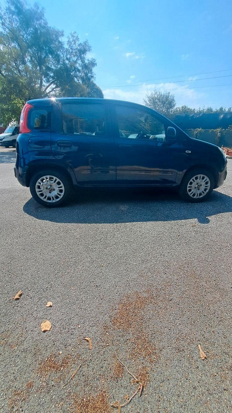 Fiat Panda 1.2 Easy