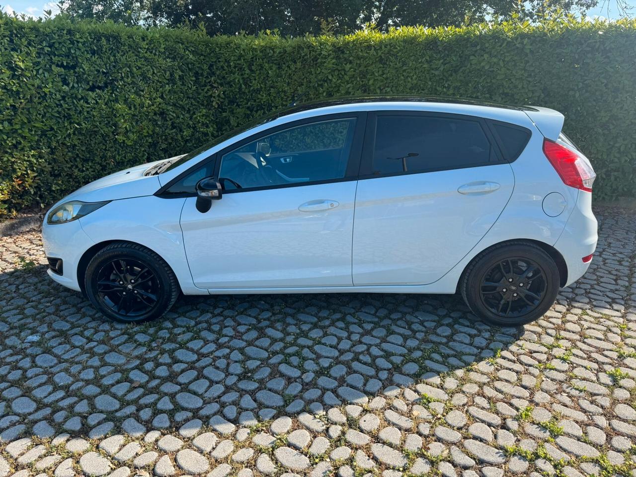 FORD Fiesta 1.5TDCi 75CV 5 porte ST-Line - 2017