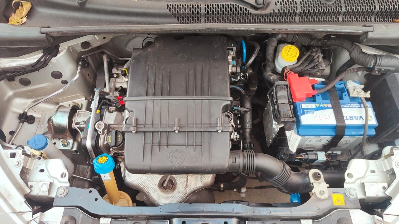 Lancia Ypsilon 1.2 69 CV 5 porte Platinum