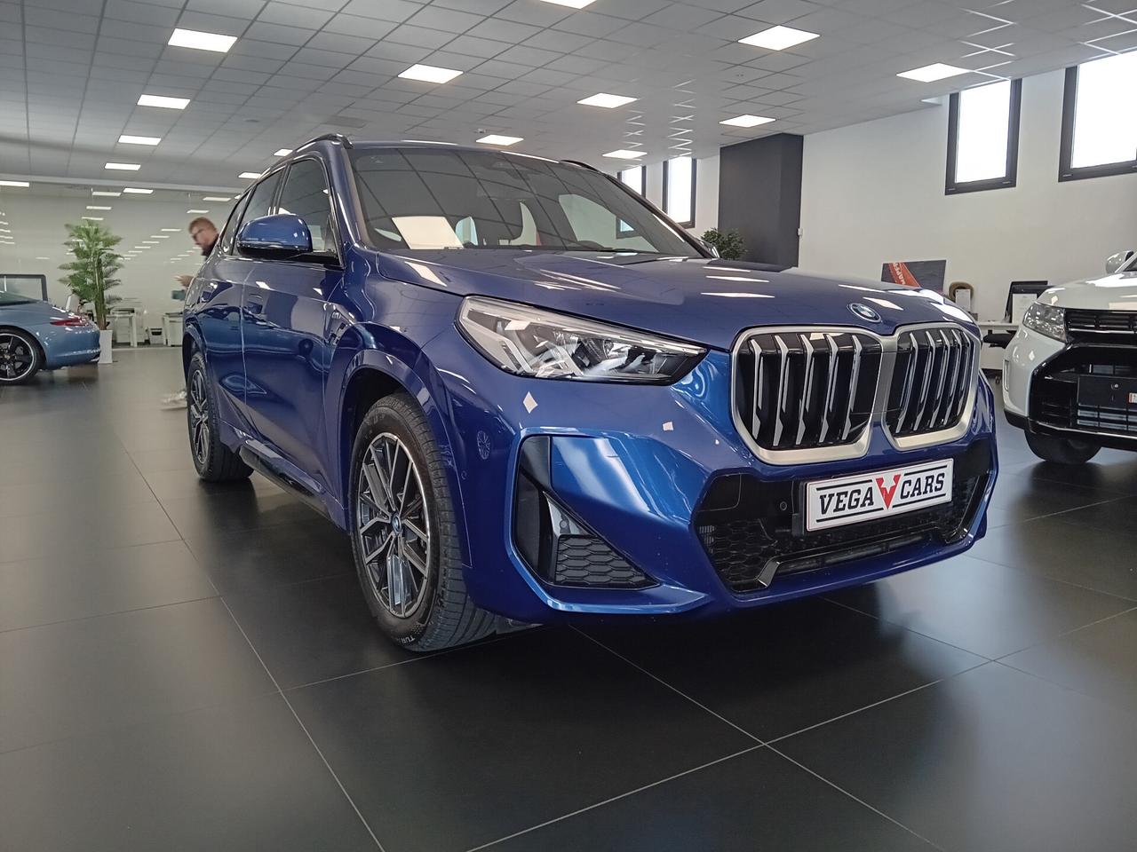 Bmw X1 xDrive 25e Msport