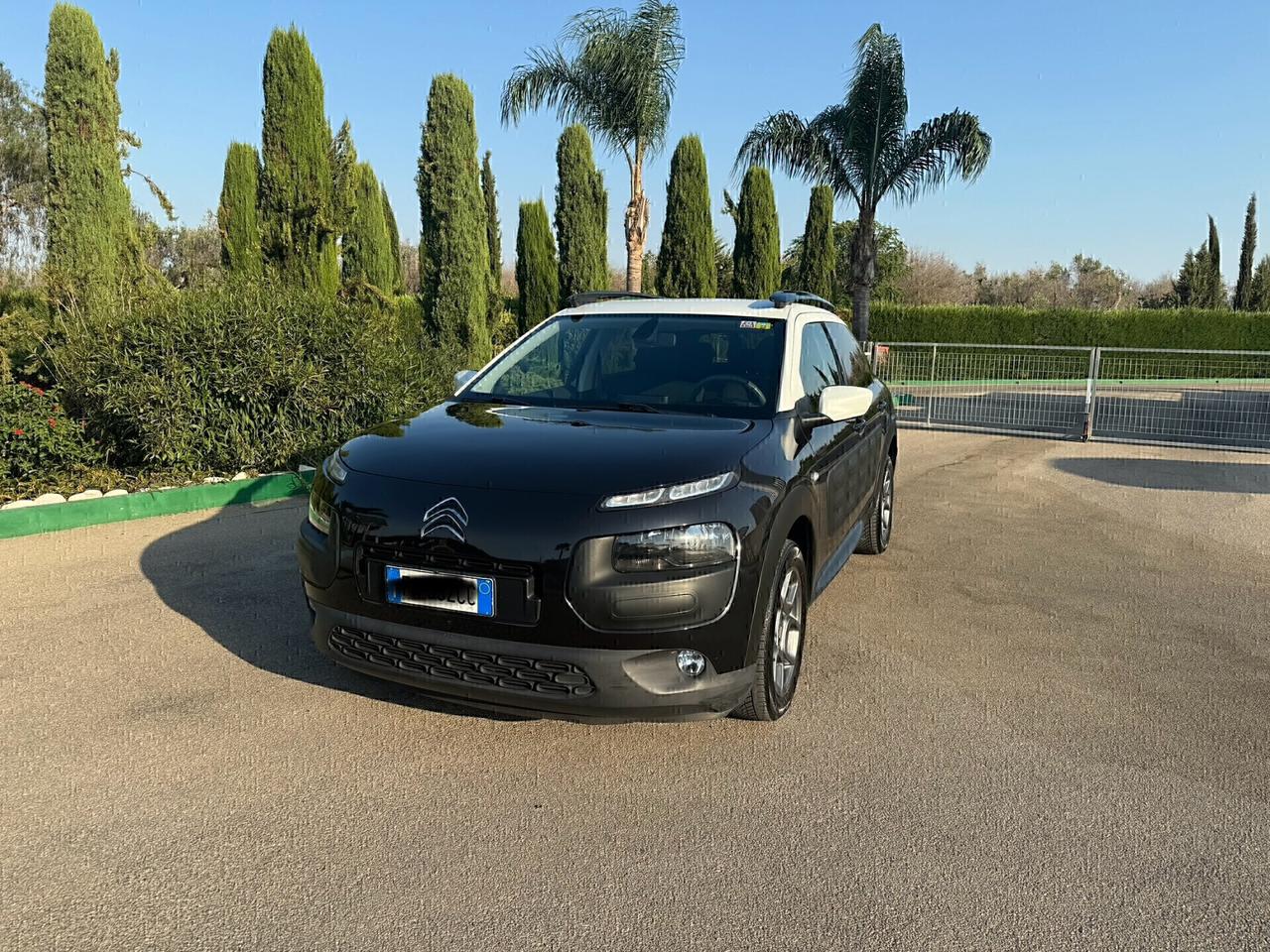 Citroen C4 Cactus PureTech 110 S&S Feel