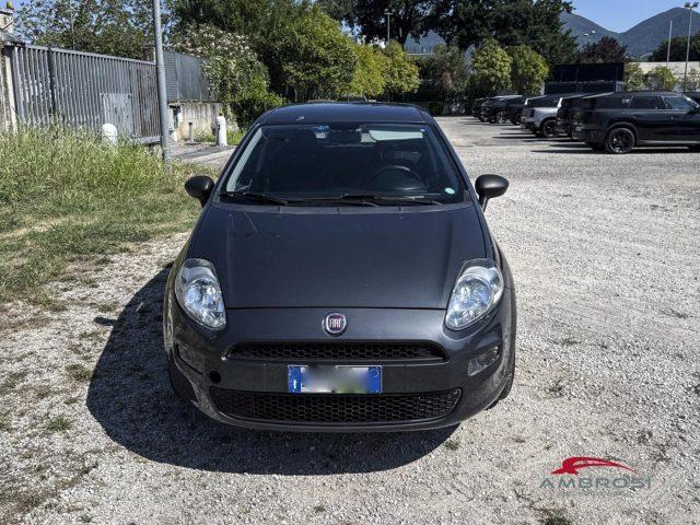 FIAT Punto 1.2 8V 5 porte Street - PER OPERATORI DEL SETTORE