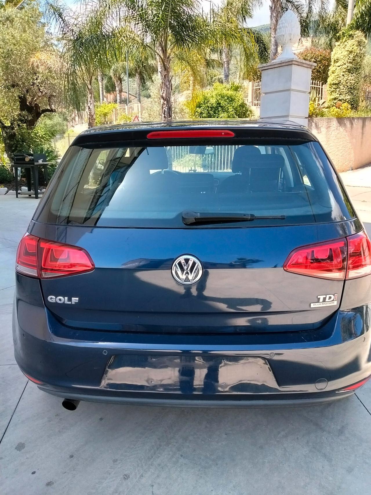 Volkswagen Golf 1.6 TDI 5p. Highline BlueMotion Technology