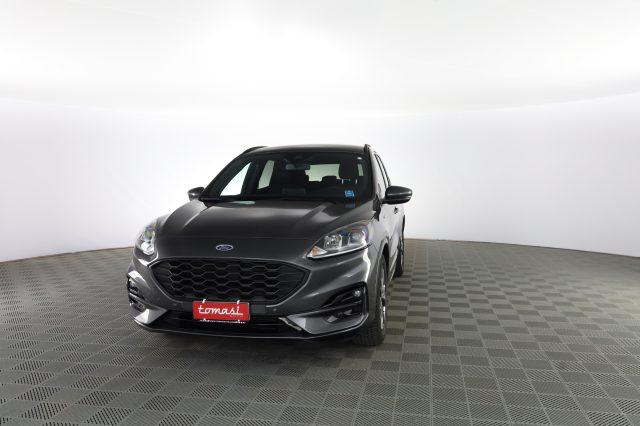 FORD Kuga Kuga 1.5 EcoBlue 120 CV 2WD ST-Line