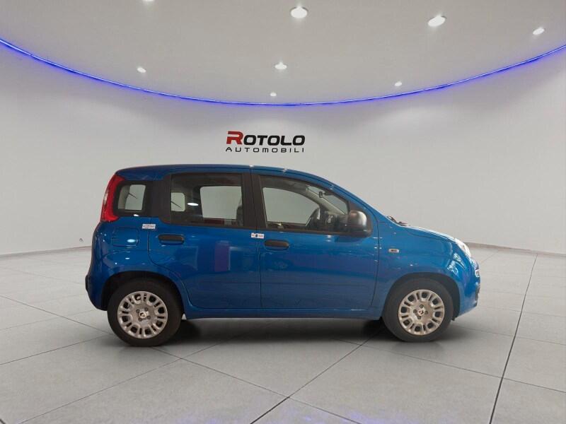 FIAT Pandina Pandina 1.0 FireFly 65 CV Hybrid Icon