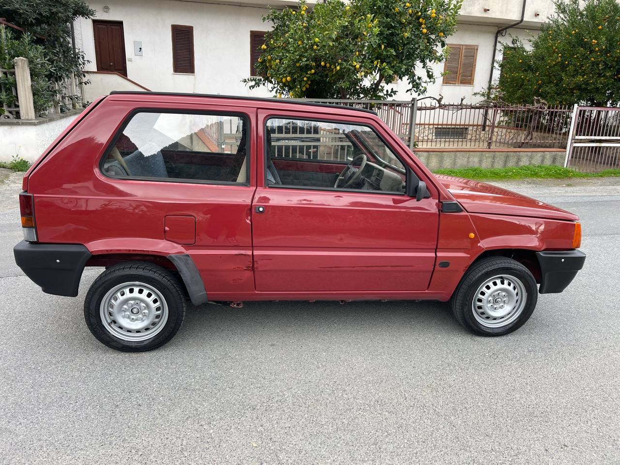 Fiat Panda 1100 i.e. cat Young