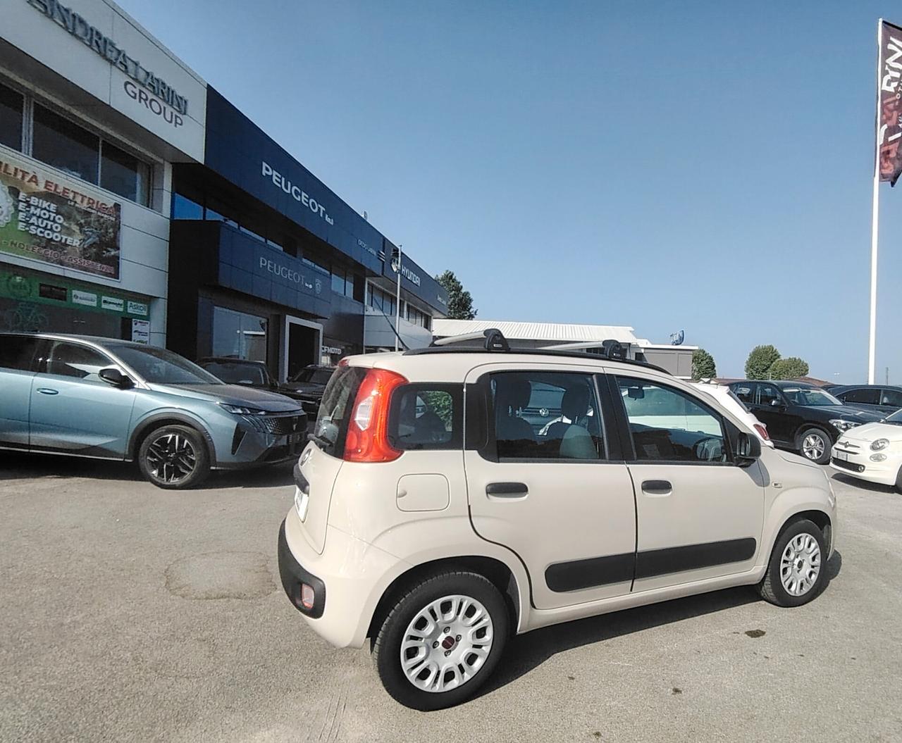 Fiat Panda 1.2 Pandazzurri - NEOPATENTATI