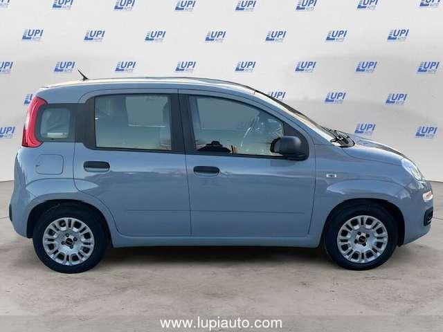 Fiat Panda 1.0 firefly hybrid City Life s&s 70cv