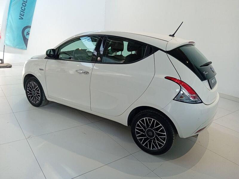 Lancia Ypsilon Ypsilon 1.2 69 CV 5 porte GPL Ecochic Gold