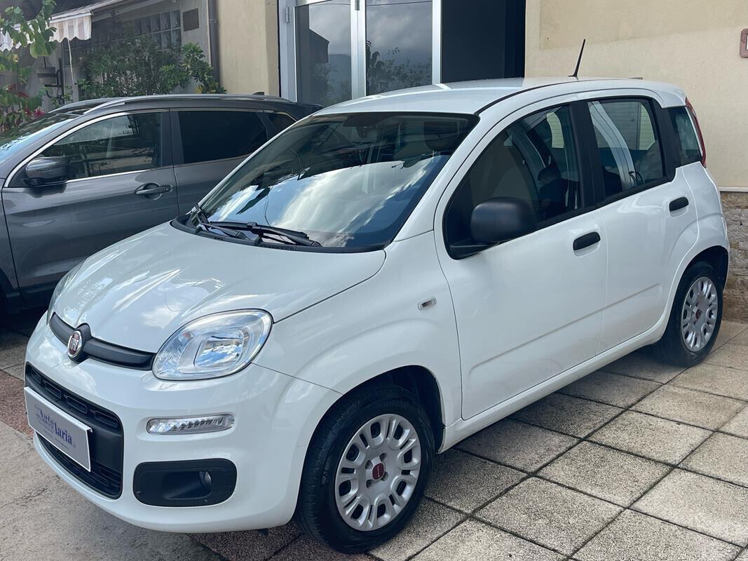 Fiat Panda 1.2 Easy 69cv my19 "Adatta anche per neopatentati" (Fendinebbia - Clima - Uconnect - Usb - Ruotino)