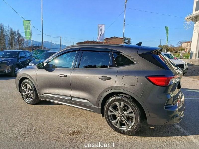 Ford Kuga Kuga 2.0 EcoBlue 190 CV aut. AWD ST-Line X GARANZIA FINO A 24 MESI DI GARANZIA
