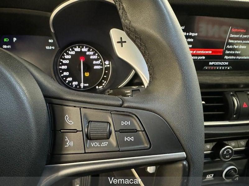 Alfa Romeo Stelvio Stelvio 2.2 Turbodiesel 190 CV AT8 Q4 B-Tech