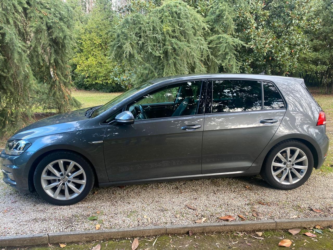 Volkswagen Golf 1.4 TGI DSG 5p. Highline BlueMotion