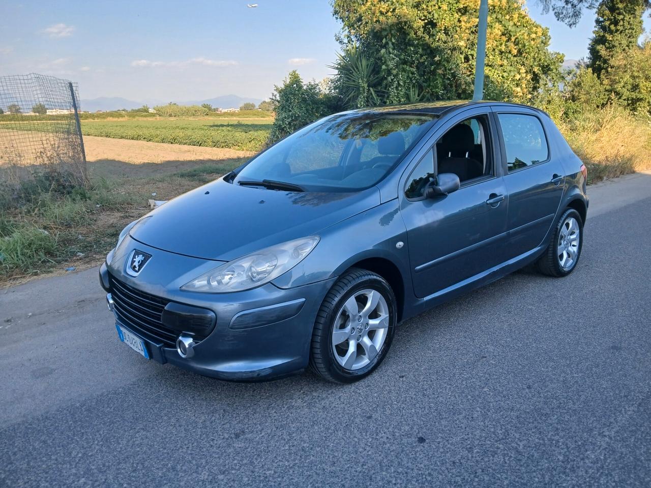 Peugeot 307 1.6 16V HDi 90CV 5p. XT anno 2006