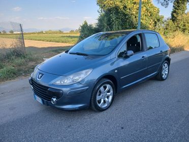 Peugeot 307 1.6 16V HDi 90CV 5p. XT anno 2006