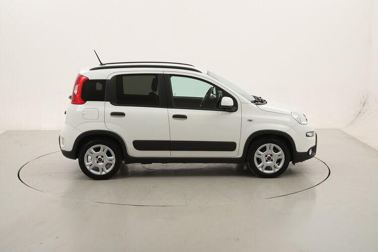 Fiat Panda Hybrid City Life BR858458 1.0 Mild Hybrid 70CV