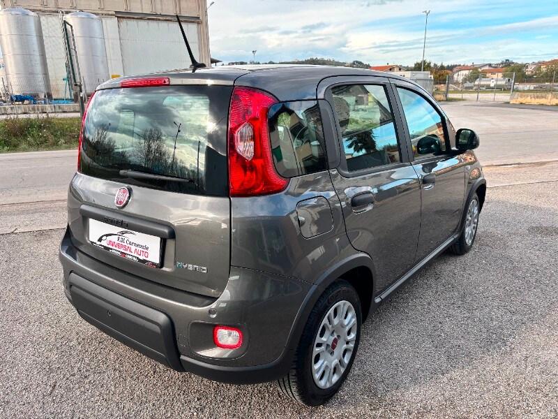 FIAT Panda 3ª serie Panda 1.0 FireFly S&S Hybrid